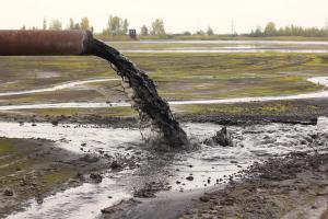 Ion Chromatography Separation of Alkali, Alkaline Earth, Transition, Post-transition, Lanthanide, and Actinide Metal Cations in Waste Sludge