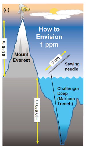 In Search of The Needle in The Mariana Trench: Host Cell Proteins and the Problem of Dynamic Range