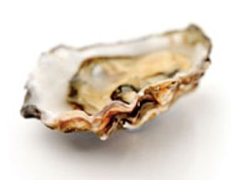 oyster-772141-1408605934526.jpg