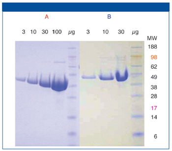 figure 11489684052748.png