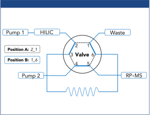 Hilicon AB - Tailored Analysis of Phospholipid Classes Using iHILIC-Fusion(+) as First Dimension for Online Two-Dimensional HILIC–Reversed-Phase LC–MS