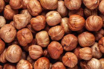 GC×GC Tracks How Hazelnuts Go Stale in Storage