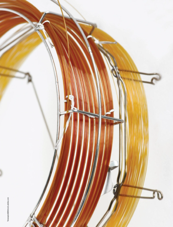 Image Credit: © Tanewpix4289 - stock.adobe.com