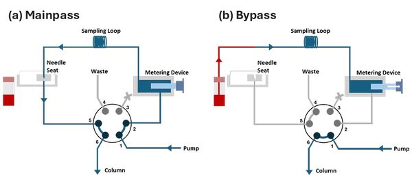 Leaks and Obstructions: Troubleshooting Common Problems Close to the Point of Sample Injection