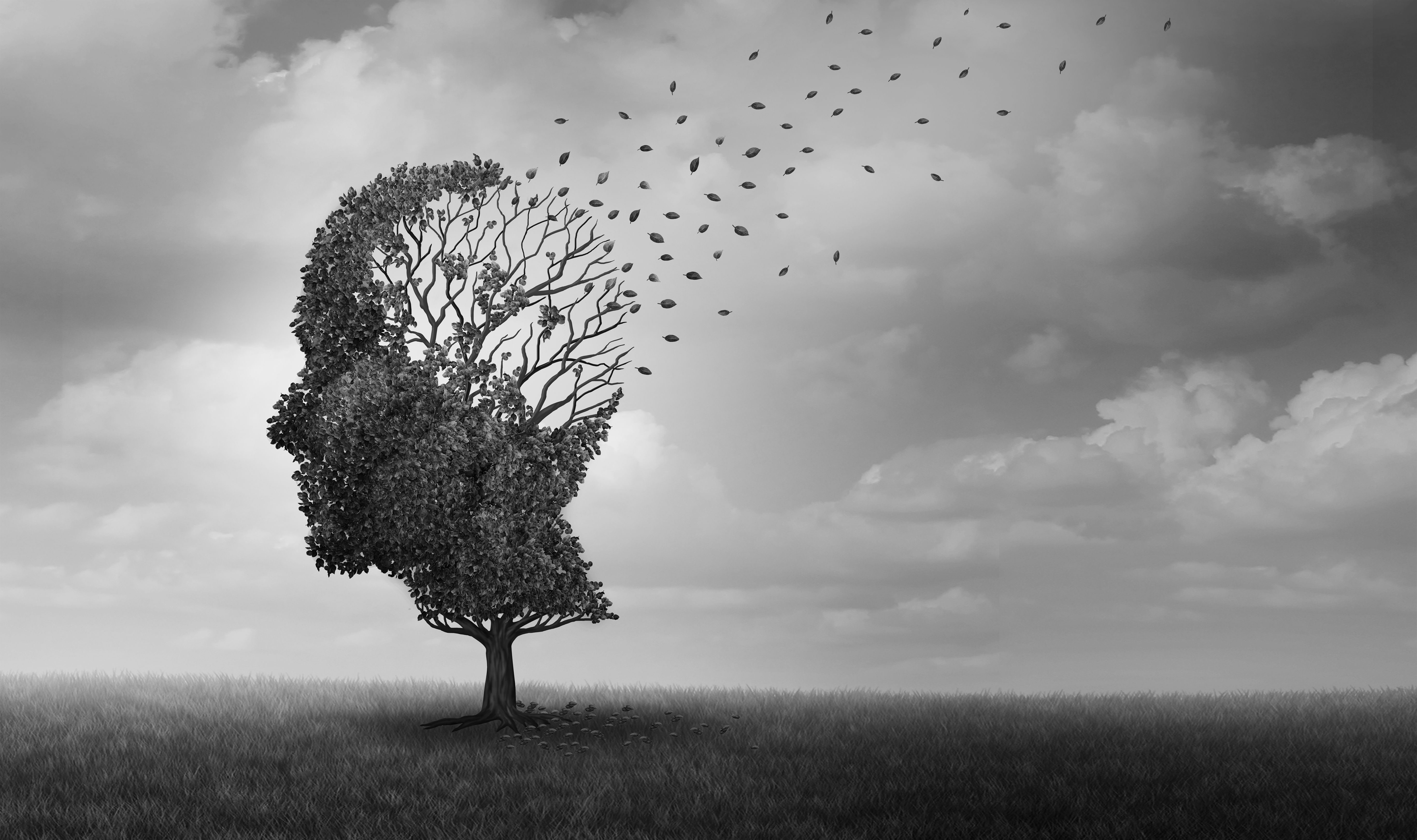 Alzheimer Disease | Image Credit: © freshidea - stock.adobe.com