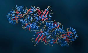 Enzyme structure | Image Credit: © Artur - stock.adobe.com