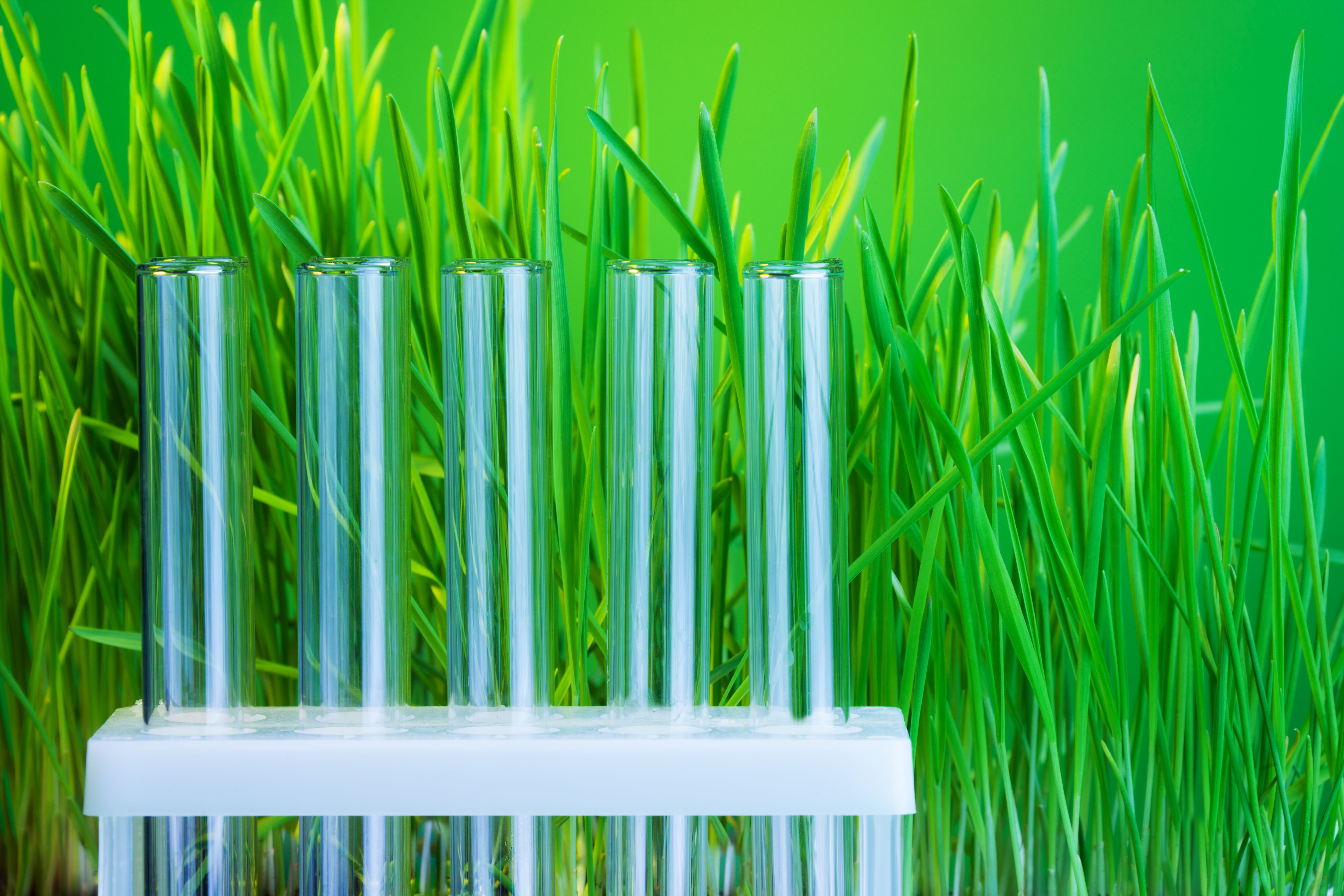 Green chemistry | Image Credit: © Sergey Novikov - stock.adobe.com