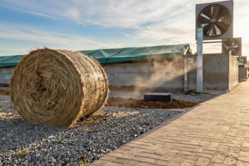 LC-MS Reveals Hay Steaming's Chemical Effects