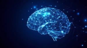 GC Links Blood DHA Levels to Brain Volume