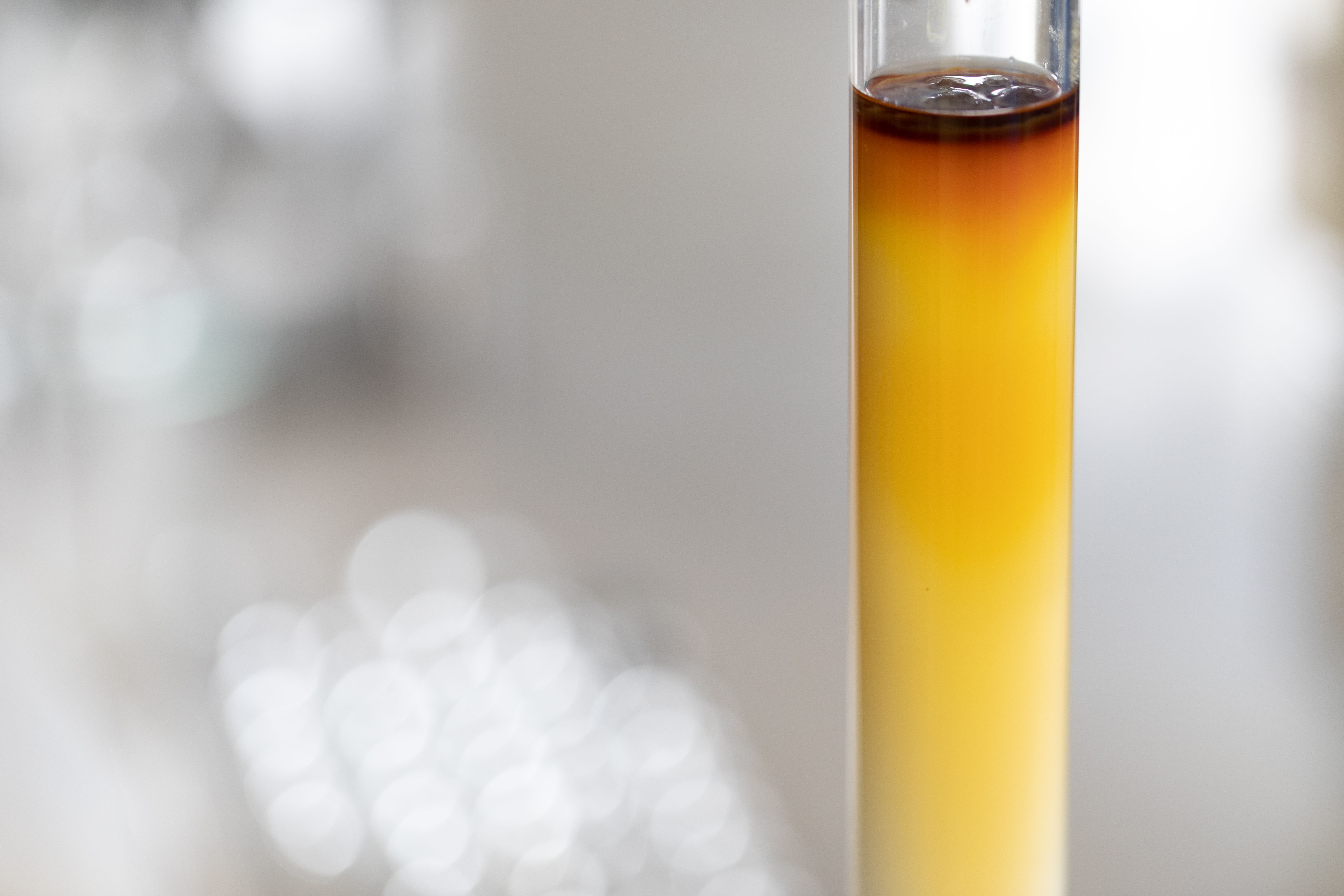 Column chromatography chemistry in the lab. | Image Credit: © sinhyu - stock.adobe.com