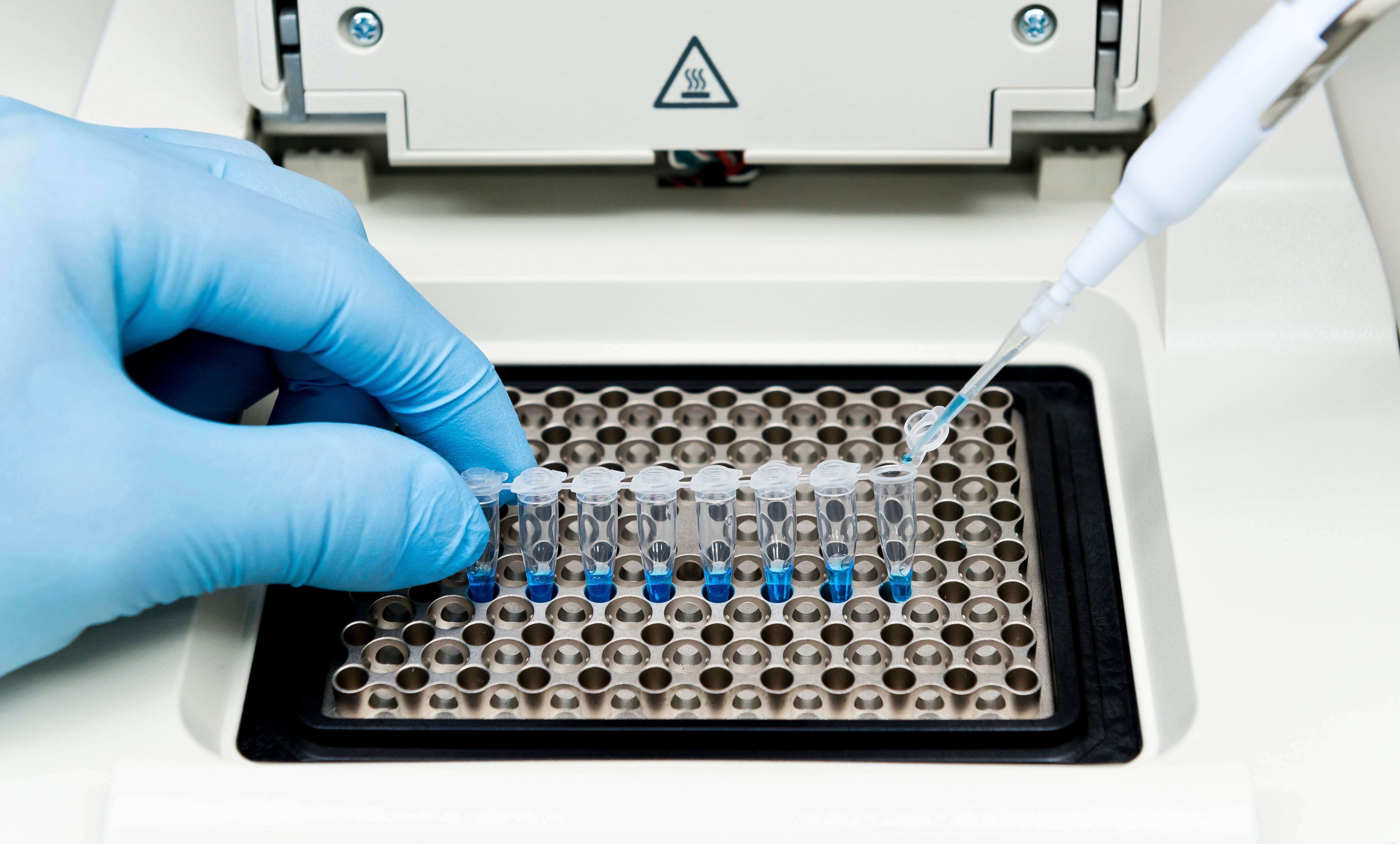 Ressearcher mix DNA, polymerase and oligonucleotides in PCR tubes on the thermal cycler | Image Credit: © HYUNGKEUN - stock.adobe.com