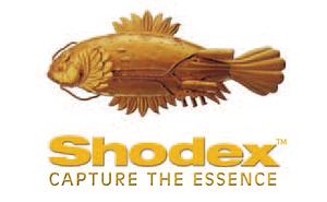 Analysis of Long-Chain Oligo-DNA with the Shodex™ VN-50 2D HILIC Column