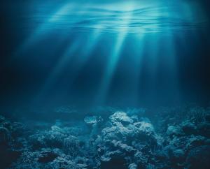 Ionization Efficiency for Environmentally Relevant Compounds Using APPI Versus EI