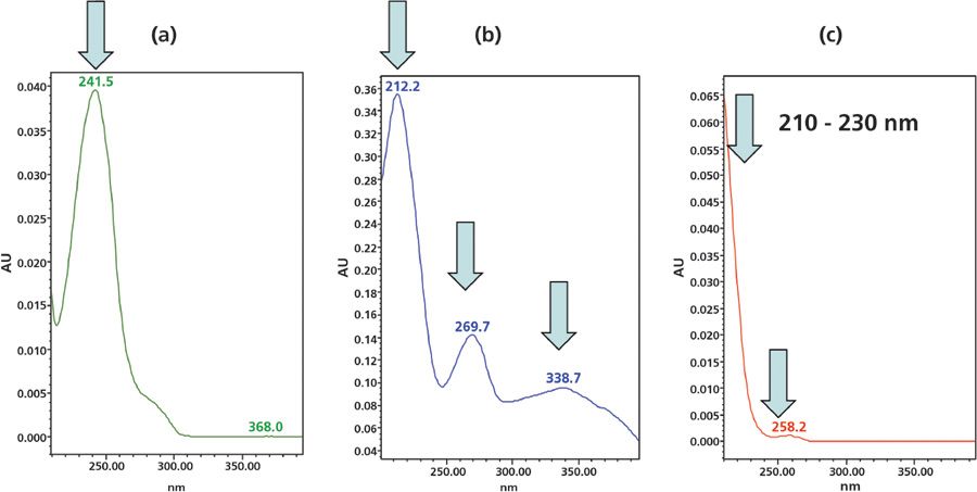Ultraviolet Detectors Perspectives Principles And Practices