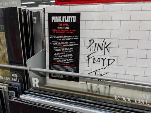 Pink Floyd and the Blood–Brain Barrier: Mass Spectrometry Explores How Music Modulates Protein Networks in LNP Delivery