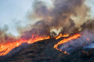 GC-MS Chromatography Tracks Wildfire Smoke PAHs