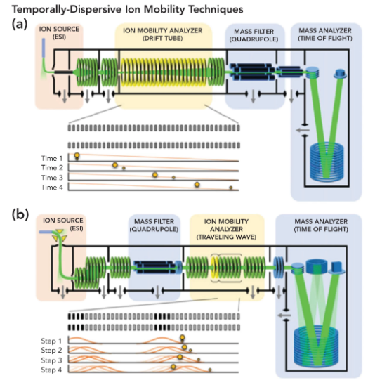 Ion Mobility Spectrometry (IMS): How It Works and Its Use in ...