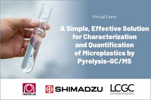 A Simple, Effective Solution for Characterization and Quantification of Microplastics by Pyrolysis-GC/MS