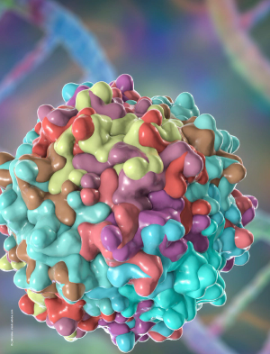 Image Credit: © Dr_Microbe - stock.adobe.com