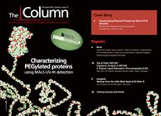 The Column-08-20-2010