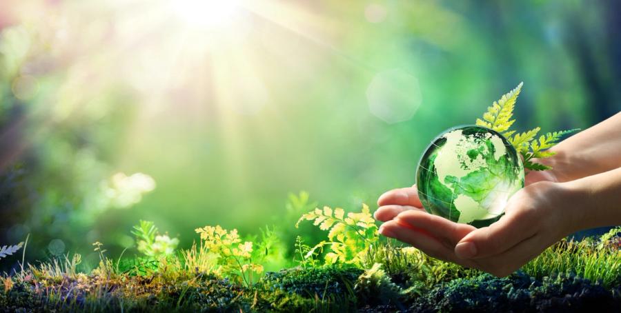 Hands Holding Globe Glass In Green Forest - Environment Concept | Image Credit: Romolo Tavani