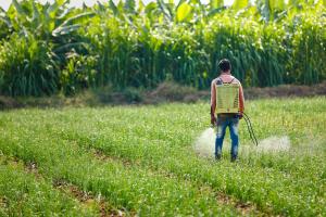 Thin-Layer Chromatography Tracks Herbicide Fate