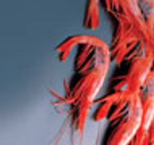 Astaxanthin from Shrimp By-products for Active Packaging Systems