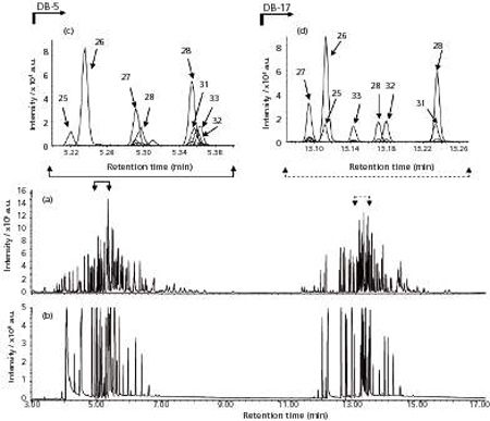 Advances in GC–MS for Food Analysis