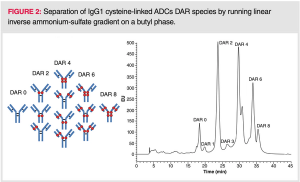 Hydrophobic Interaction Chromatography (HIC) for the Characterization of Therapeutic Monoclonal Antibodies and Related Products, Part 2: Practical Considerations