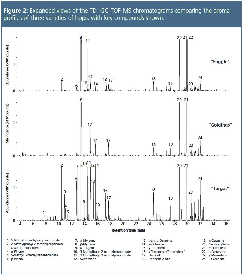 figure 2.jpg