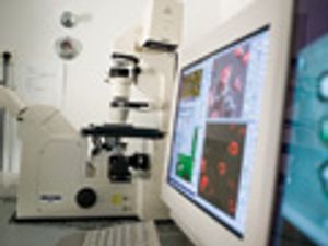 Evolving Chromatography Software: Using Standards to Create an Analytical Software Ecosystem