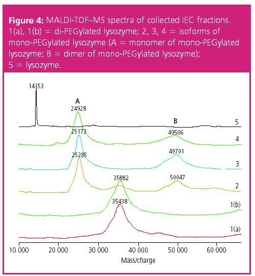 Characterization of PEGylated Lysozyme by Size Exclusion and Ion