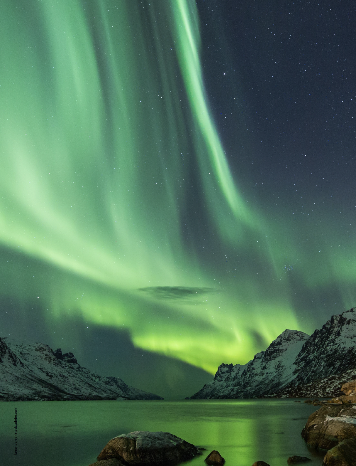 Image Credit: © jamenpercy - stock.adobe.com