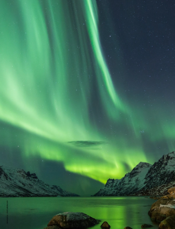 Image Credit: © jamenpercy - stock.adobe.com