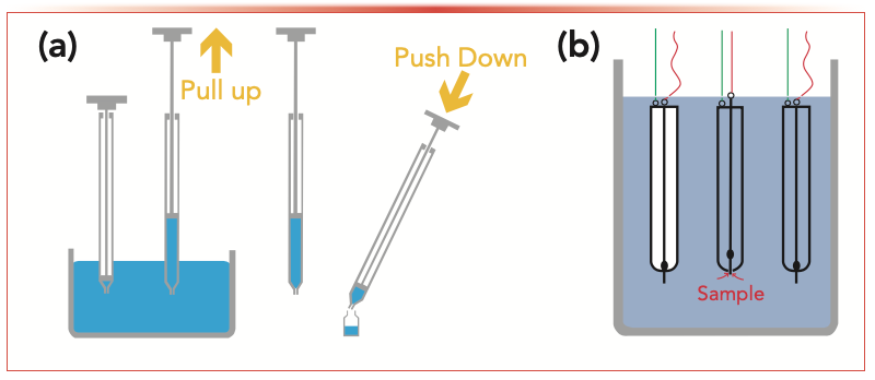 Putting the Sample into Sample Preparation | LCGC International