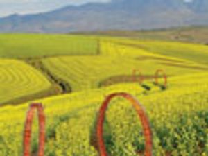 Improving the Efficiency of Fatty Acid Methyl Ester Preparation Using Automated Sample Preparation Techniques