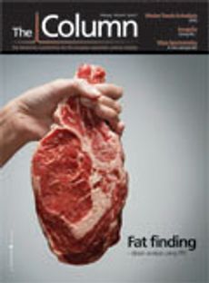 The Column-02-01-2009