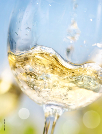 Image Credit: © mRGB - stock.adobe.com