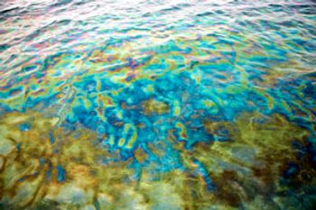 Oil_sheen-820286-1408537560897.jpg