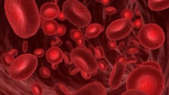 3d rendered illustration of red blood cells in a human artery | Image Credit: © Sebastian Kaulitzki - stock.adobe.com
