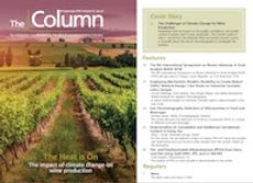 The Column-09-10-2019