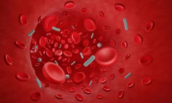Bacteremia, bloodstream infection, bacteria in blood | Image Credit: © Artur - stock.adobe.com