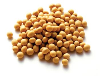beans-778858-1408603811582.jpg