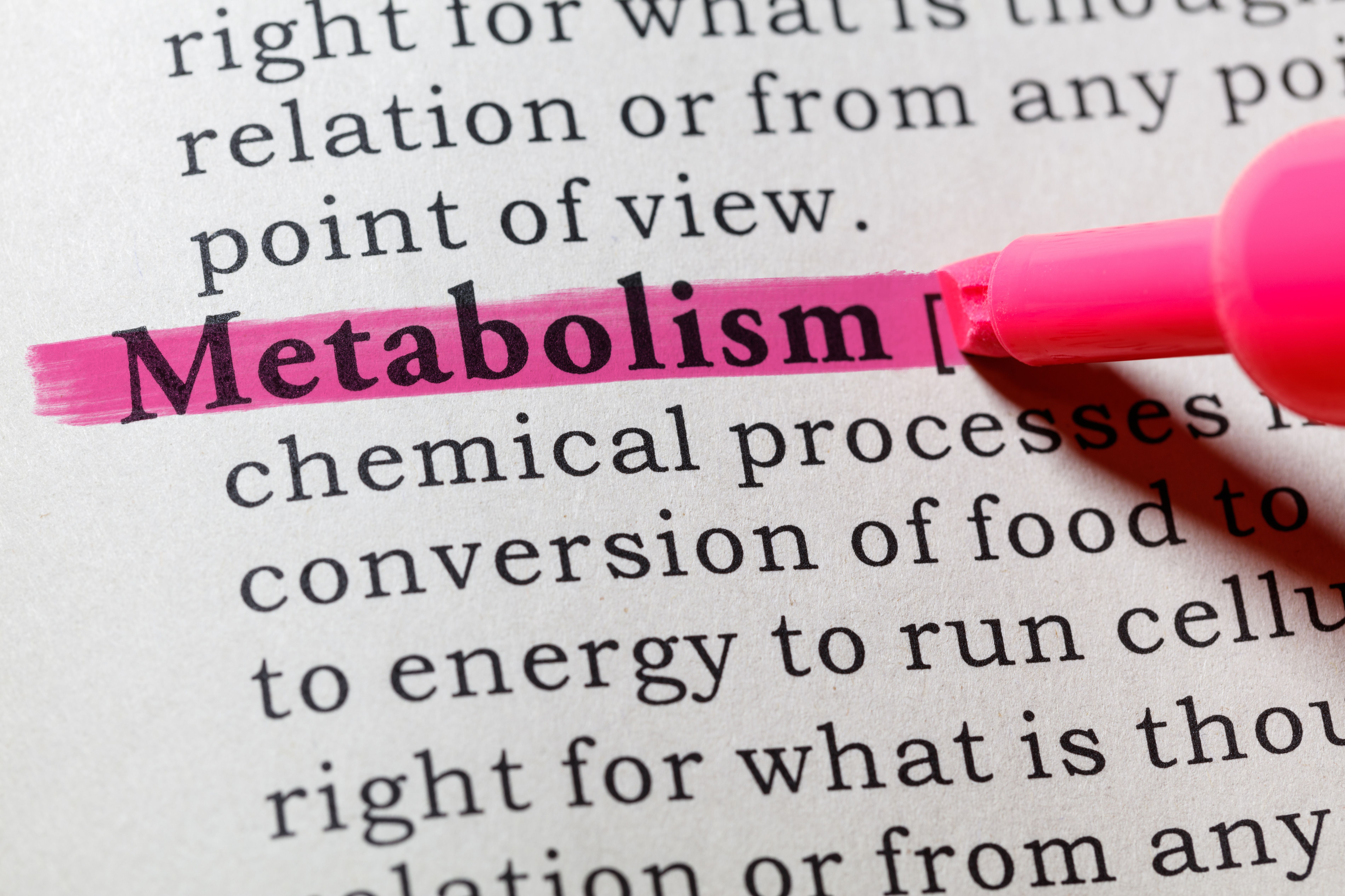 definition of metabolism | Image Credit: © Feng Yu - stock.adobe.com