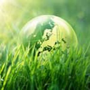 A Look at Matrix Effects