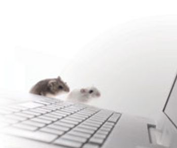 10mice-729387-1408615624154.jpg