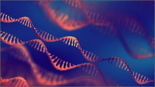 Separation Science —The State of The Art in Life Science Analysis: A Virtual Symposium