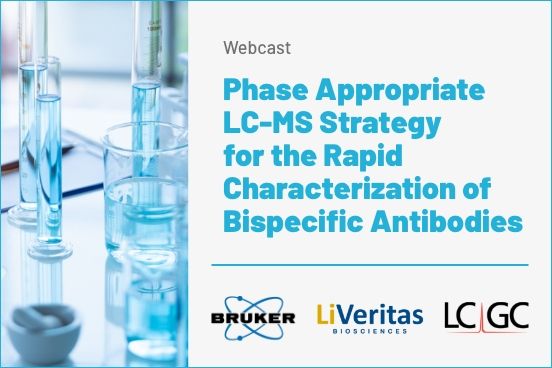 Phase Appropriate LC-MS Strategy for the Rapid Characterization of ...