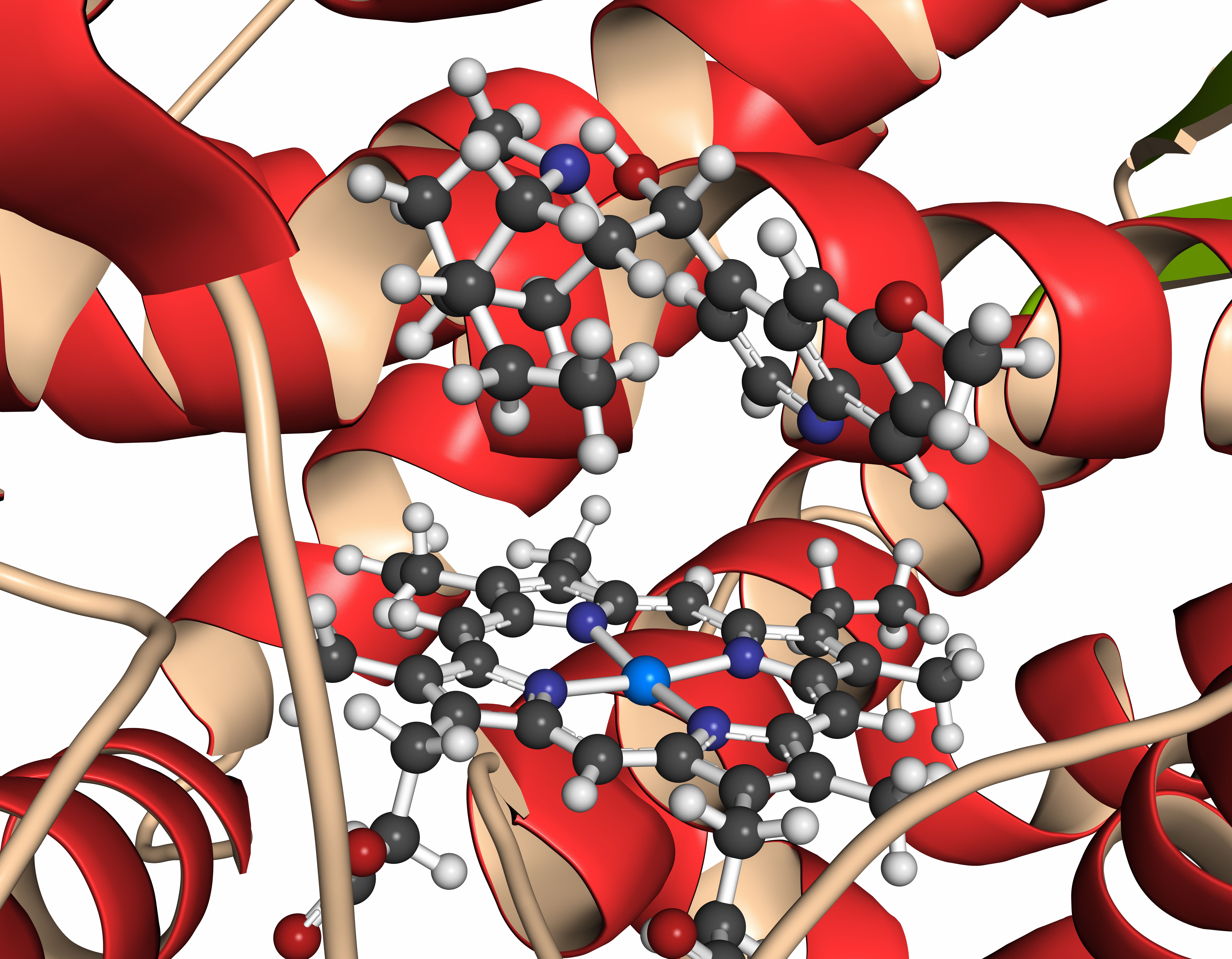 Cytochrome P450 (CYP2D6) liver enzyme bound to quinine | Image Credit: © molekuul.be - stock.adobe.com