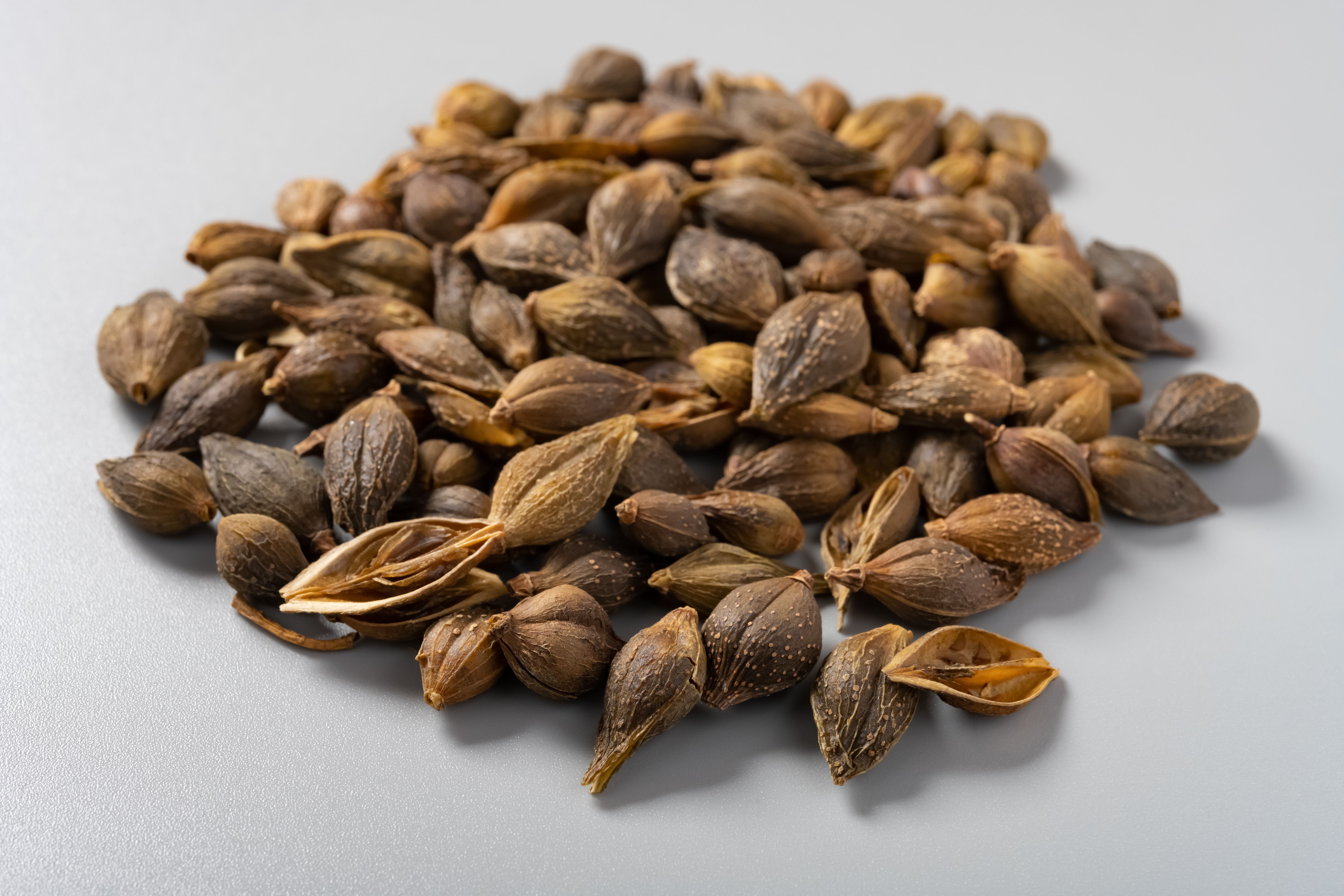 Solvent-Based Extraction for Lignan HPLC Analysis in Forsythiae Fructus